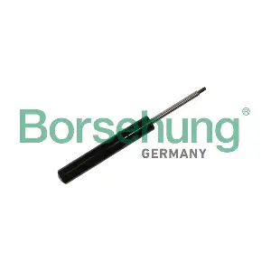 B11180 Borsehung