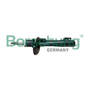 B12136 Borsehung