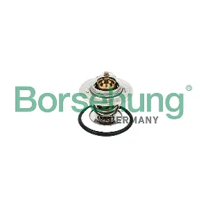 Borsehung B18256