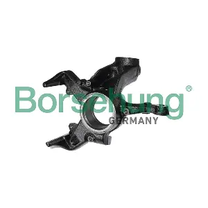 B17941 Borsehung
