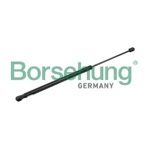 B14199 Borsehung