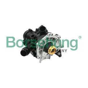 B18760 Borsehung