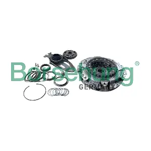 B12883 Borsehung