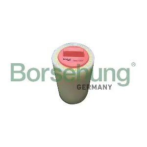 B12462 Borsehung