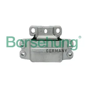 B12272 Borsehung