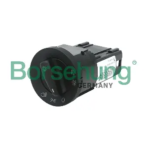 B11399 Borsehung