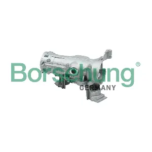 B17984 Borsehung