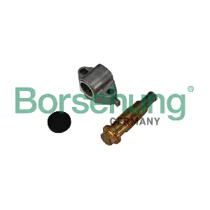 Borsehung B1T024