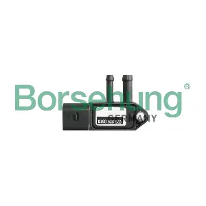 B11884 Borsehung