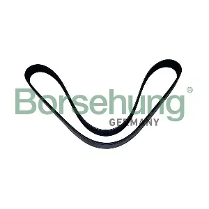 B12502 Borsehung