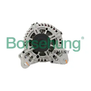 B19088 Borsehung
