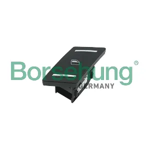 B18742 Borsehung