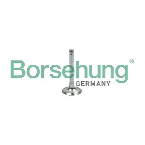 B19002 Borsehung
