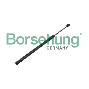 B14195 Borsehung