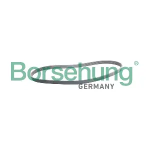 Borsehung B12387
