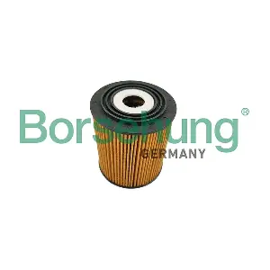 Borsehung B10451