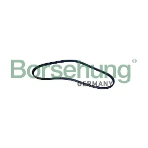B12496 Borsehung