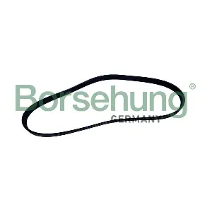 Borsehung B12499