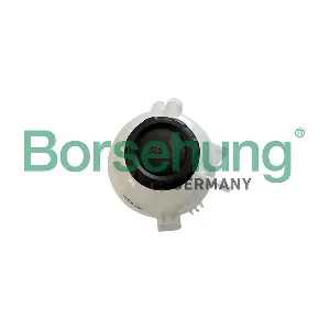 Borsehung B11942