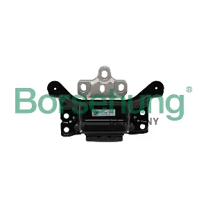 B19097 Borsehung