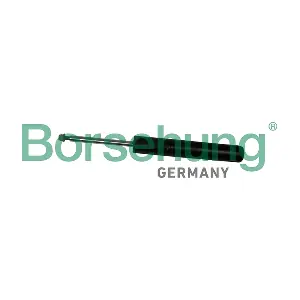 B19275 Borsehung