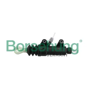 B19145 Borsehung