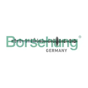 B12296 Borsehung