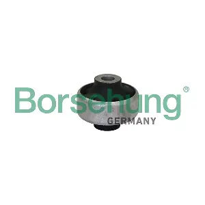 B10018 Borsehung