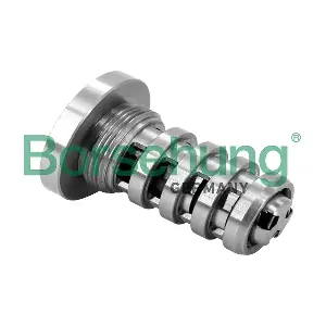 B12690 Borsehung
