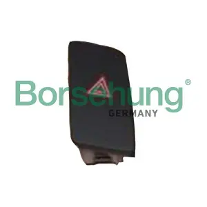 B18615 Borsehung