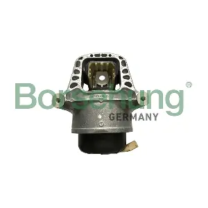 B19133 Borsehung