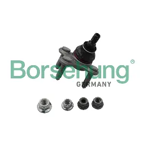 Borsehung B18698