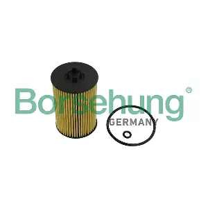 B10532 Borsehung