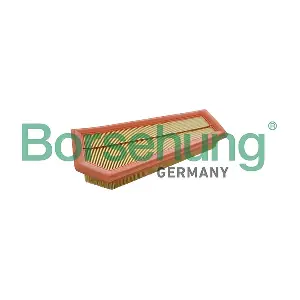 B13054 Borsehung