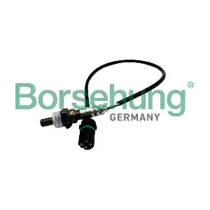 B12587 Borsehung