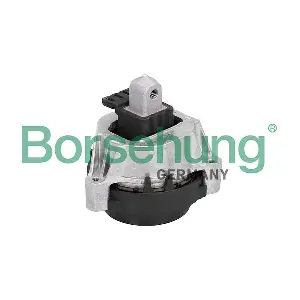B12607 Borsehung