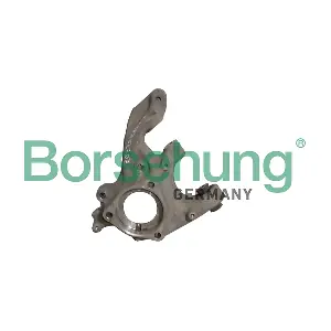 B12115 Borsehung
