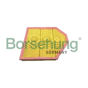 B12461 Borsehung