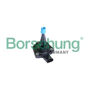 B11861 Borsehung