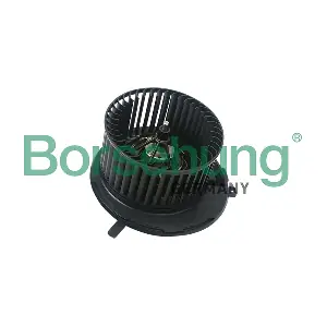 B14597 Borsehung