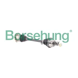 B18386 Borsehung
