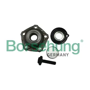 B11288 Borsehung