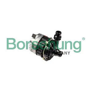 B12920 Borsehung