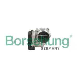 Borsehung B11106