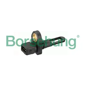 B14343 Borsehung