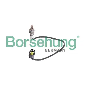 Borsehung B12588