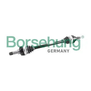 Borsehung B12487