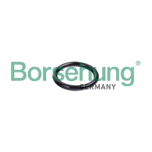 B10632 Borsehung