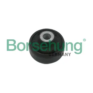 B18473 Borsehung