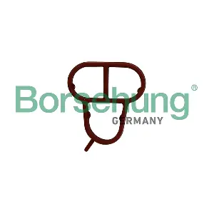 B10623 Borsehung